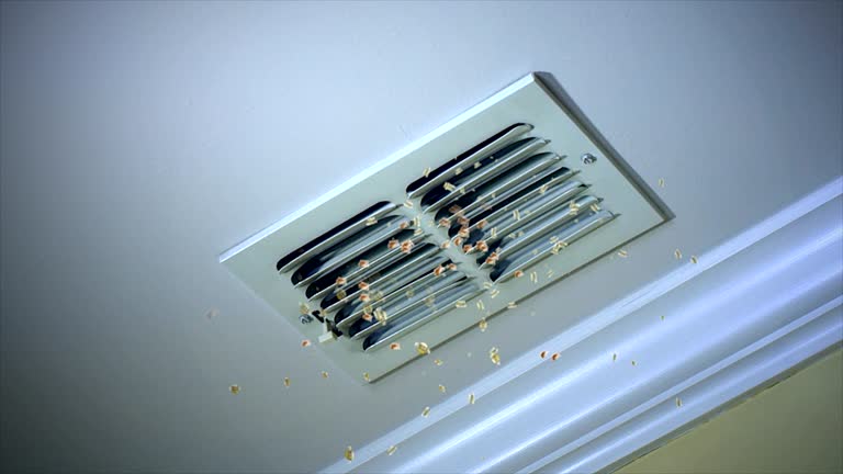 Best Home Air Vent Cleaning  in Shelburne Falls, MA